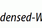 Myriad-Condensed-Web-Italic.ttf