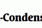 Oranda-Bold-Condensed-GX-BT.ttf