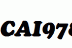 fonts 747-CAI978.ttf