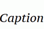 PT-Serif-Caption-Italic.ttf