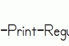 Primer-Print-Regular.ttf