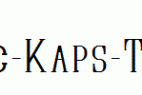 Quastic-Kaps-Thin.ttf