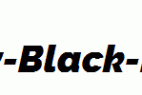 Raleway-Black-Italic.ttf