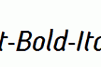 SGI-Alt-Bold-Italic.ttf
