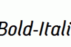 SGI-Bold-Italic.ttf