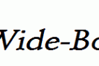 Schroeder-Wide-Bold-Italic.ttf
