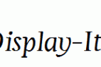 Servus-Text-Display-Italic-display.ttf