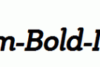 Steinem-Bold-Italic.ttf