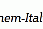 Steinem-Italic.ttf