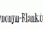 Synonym-Blank.ttf