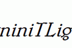 URWBerniniTLig-Italic.ttf