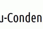 Ubuntu-Condensed.ttf
