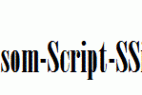 Winsom-Script-SSi.ttf