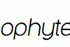 Y2K-Neophyte-Italic.ttf