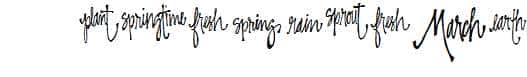 SP-Springtime