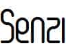 Senzi-copy-1-