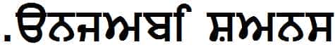 Punjabi-Sans