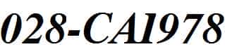 028-CAI978-Bold-Italic